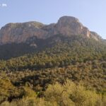 La imagen actual no tiene texto alternativo. El nombre del archivo es: Puig-de-sa-Cova-dels-Carboners-FOTO-CEDIDA-PER-DOBLEVUIT.jpg?v=1780854441